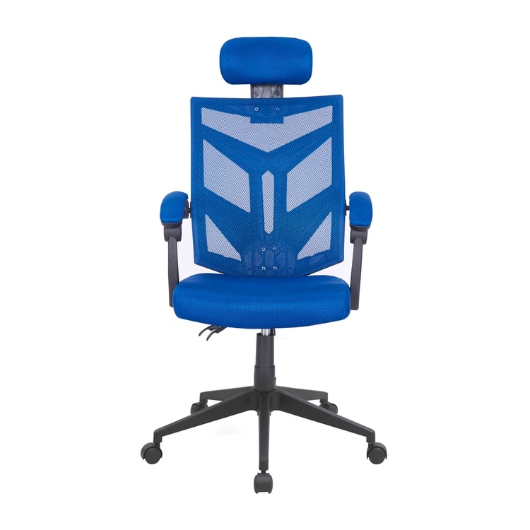 Adjustable Office Chair with Headrest Ergonomic Desk Chair High Back Mesh Office Chairs with Lumbar Support with Wheels