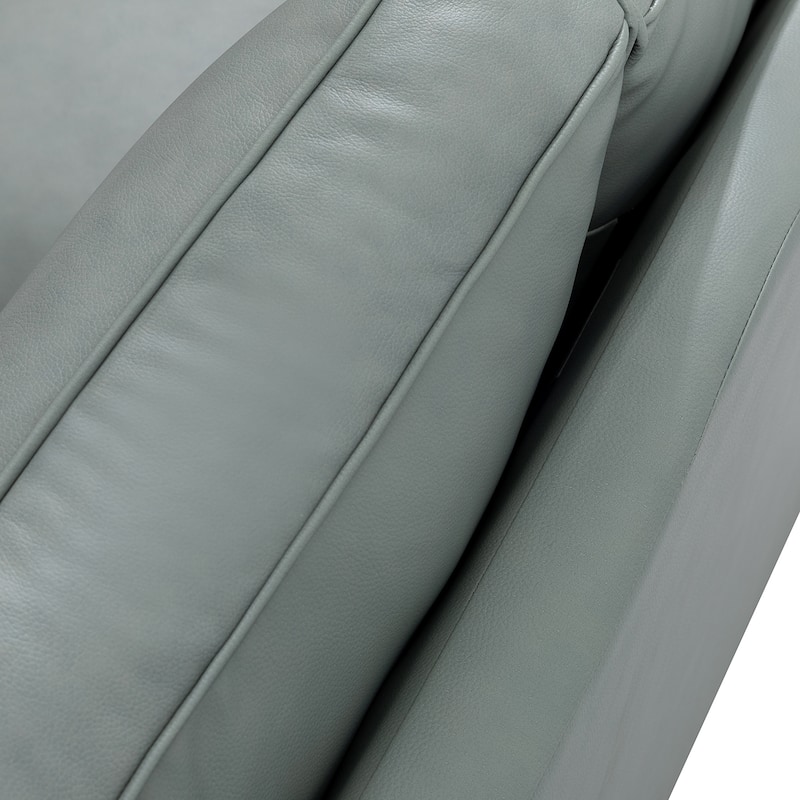 Filomena Transitional 5 Piece Genuine Leather Living Room Set Sofa with Rolled Arms by HULALA HOME