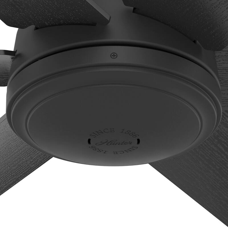 Hunter 52" Jetty Outdoor Ceiling Fan with Wall Control and Wet-Rated