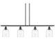 Option Oil Rubbed Bronze / Clear