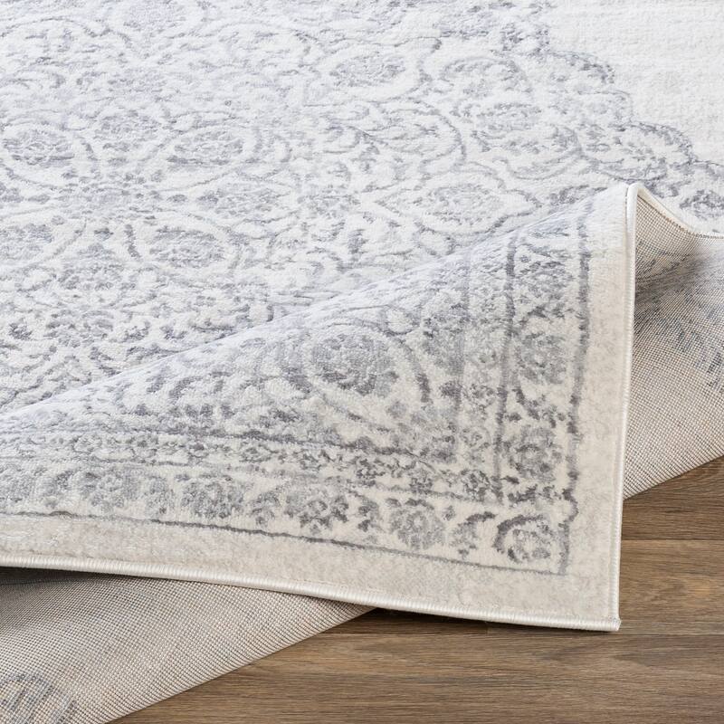 Slater Persian Medallion Area Rug