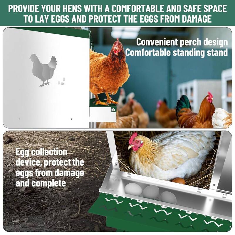 Chicken Nesting Boxes with Roll Out Egg Collection and Legs