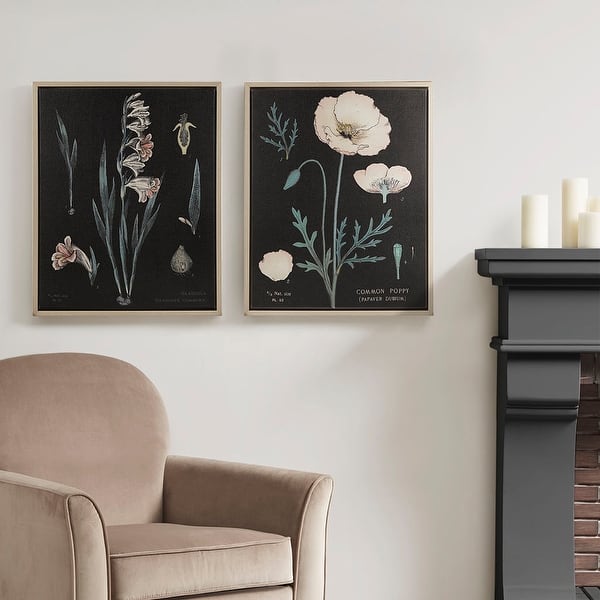 Martha Stewart Eventide Flourish Botanical Illustration 2piece Framed