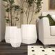Option White