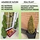 preview thumbnail 5 of 3, GTR4633-NATURAL-2 3-foot Faux Boxwood Spiral Topiary Plant in Plastic Pots (Set of 2)