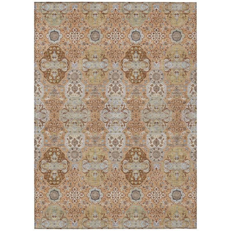 Machine Washable Indoor/ Outdoor Traditional Tracey Chantille Rug