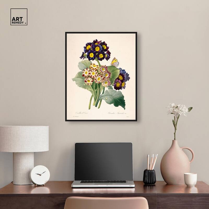 Auricula Varieties Canvas by Art Remedy