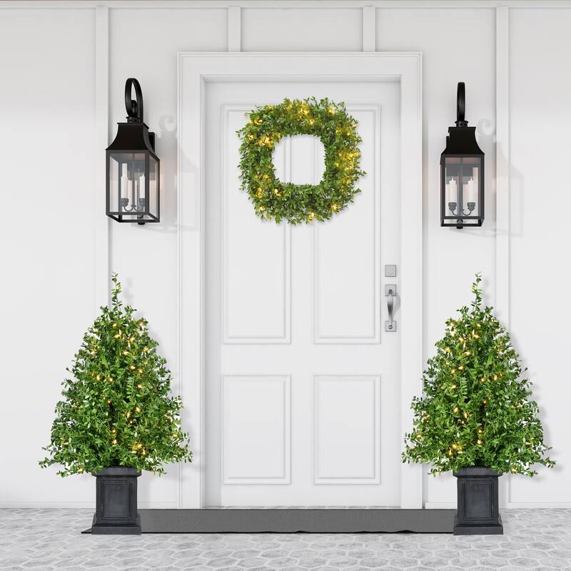 Fraser Hill Farm 3-Ft. Boxwood Porch Tree in Black Pot with Warm White Lights