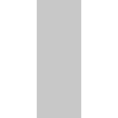 Slab Barn Door Panel 18 x 80 inches | Planum 0010 Matte Grey | Sturdy Finished Interior Doors | Pocket Closet Sliding