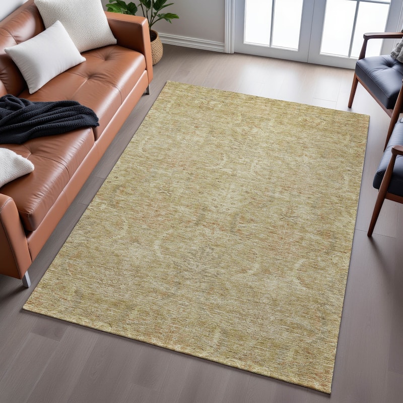 Premium Washable Super Soft Traditional Mayfield Rug