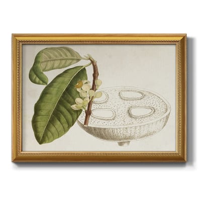 Tropical Foliage & Fruit VII Premium Framed Canvas- Ready to Hang