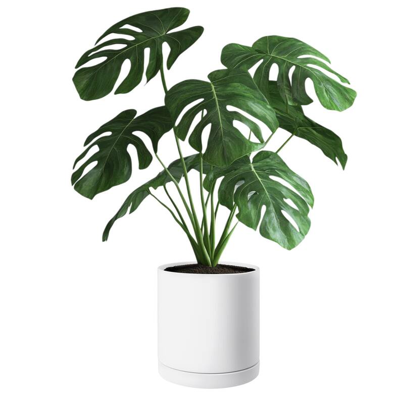 12-Inch Tree Planter Pot with Detachable Saucer and Pads - 11.81 × 11.81 × 11.02 inch