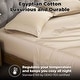 preview thumbnail 74 of 102, Superior Egyptian Cotton 300 Thread Count Solid Bed Sheet Set