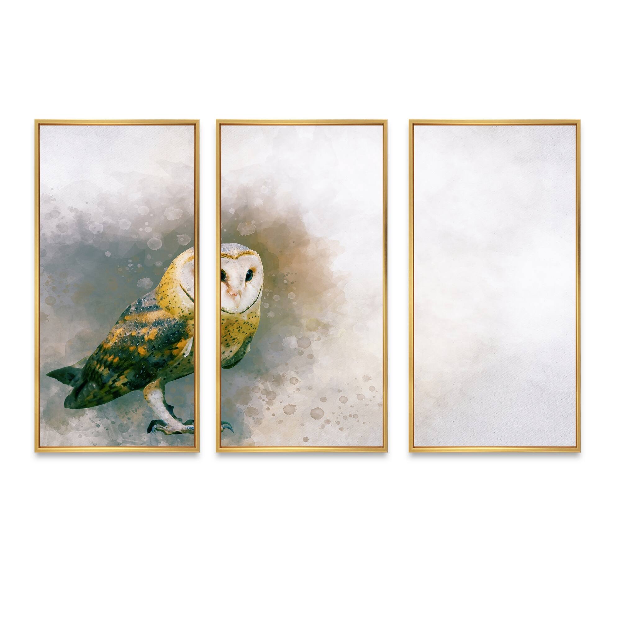 Designart "Portrait Of A Barn Owl" Traditional Framed Wall Art Set of 3