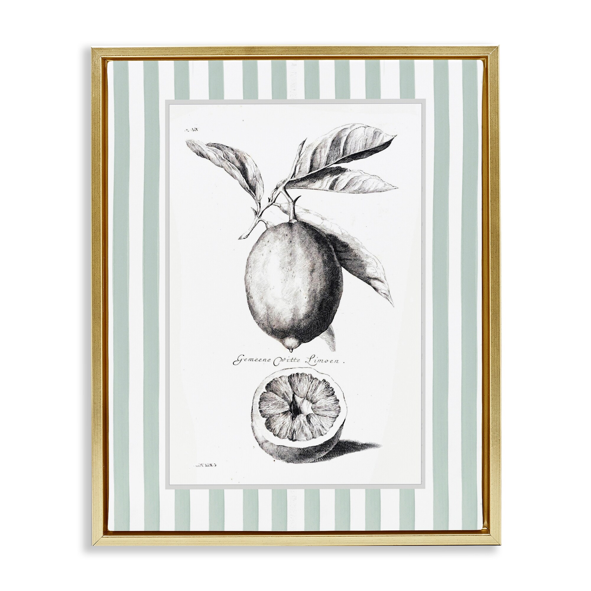 Stupell Vintage Lemon Striped Border Framed Floater Canvas Wall Art Design By Lettered and Lined