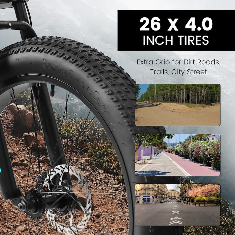 26 Inch Full Suspension Fat Tire Mountain Bike with 21 Speed, Steel Frame 4 Inch Tires for Men and Women