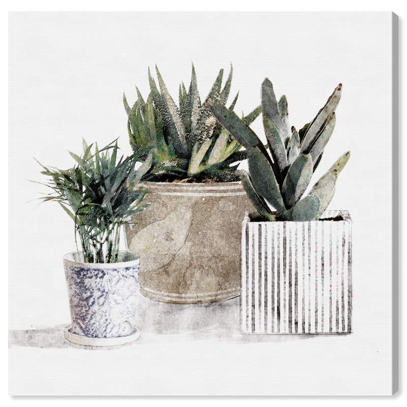 Wynwood Studio 'Succulent Gallery' Floral and Botanical Wall Art Canvas Print Botanicals - White, Green
