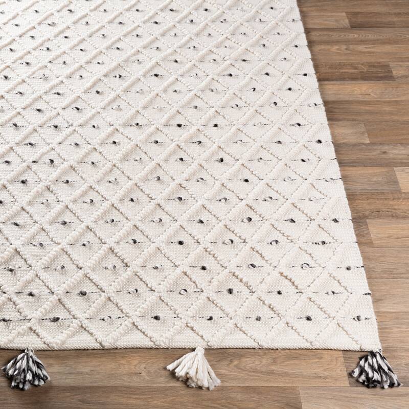 Leslawa Handmade Indoor / Outdoor Moroccan Area Rug