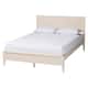Option Ivory