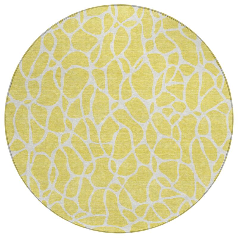 Machine Washable Indoor/ Outdoor Modern Chantille Rug