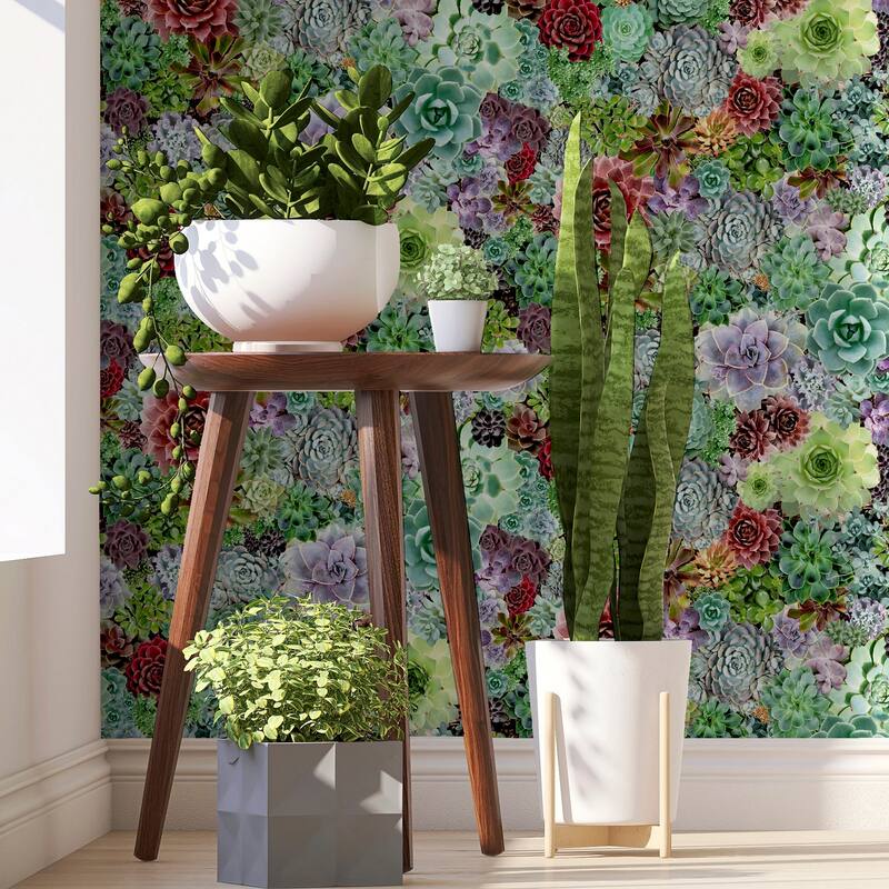Arthouse Rhea Multicolor Succulents Wallpaper