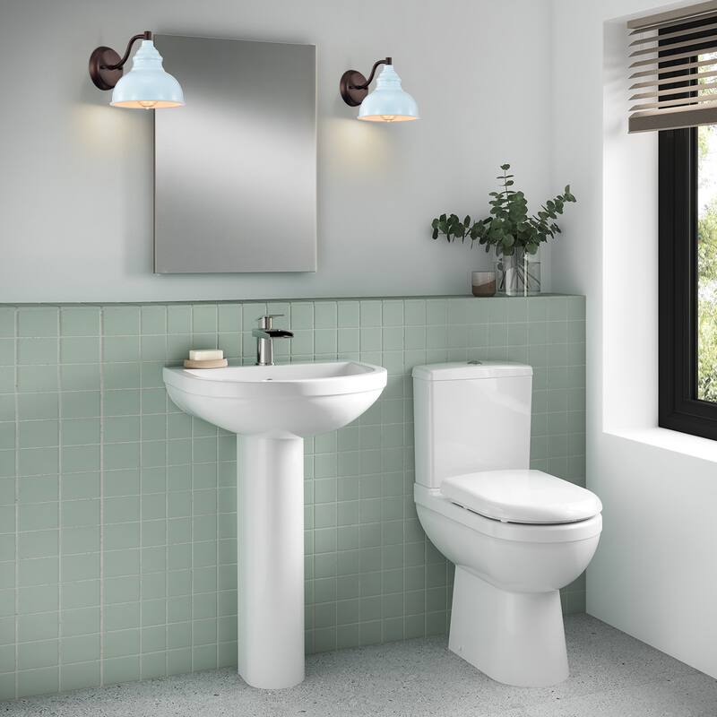 1-light Indoor/ Outdoor Wall Sconce