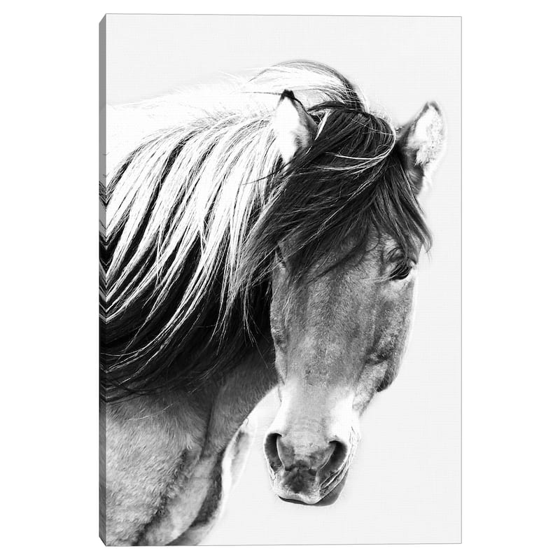 At First Glance by Belle Maison Canvas Art Print