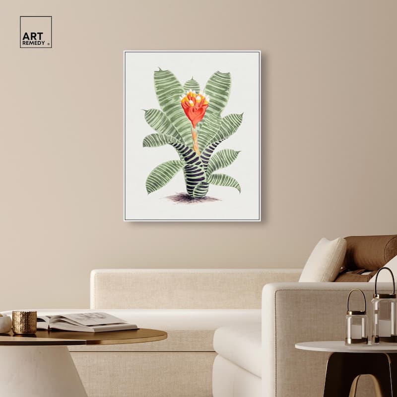 Tillandsia Musaica Plant Canvas by Art Remedy
