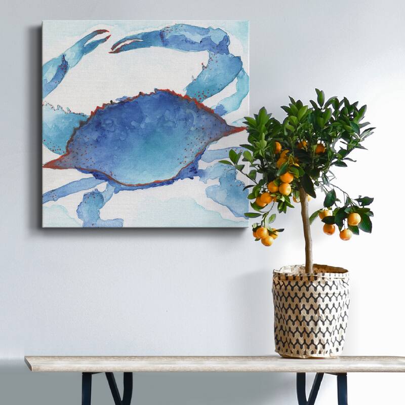 Galapagos Crab-Premium Gallery Wrapped Canvas - Ready to Hang