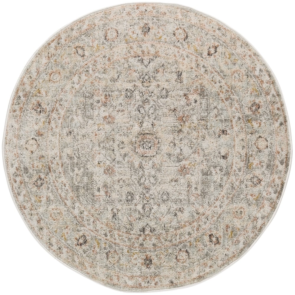 Nourison Oushak Home Indoor Grey Persian Area Rug