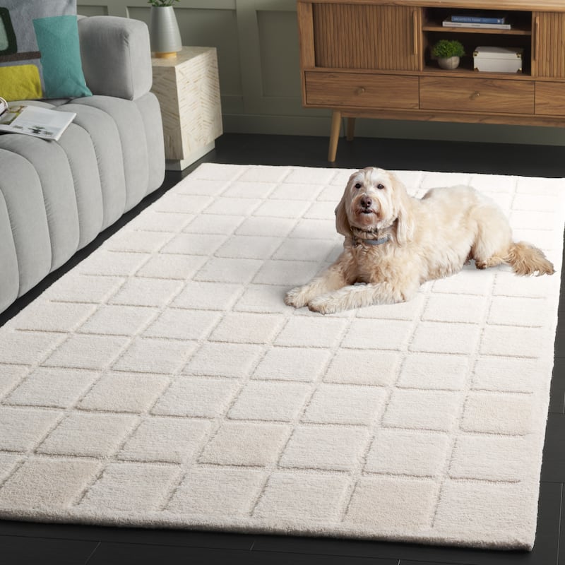SAFAVIEH Handmade Mykonos Neela Modern Wool Rug