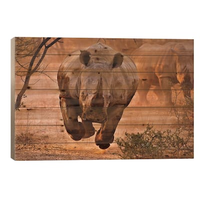 Rhino Learning To Fly Print On Wood by Justus Vermaak - Multi-Color