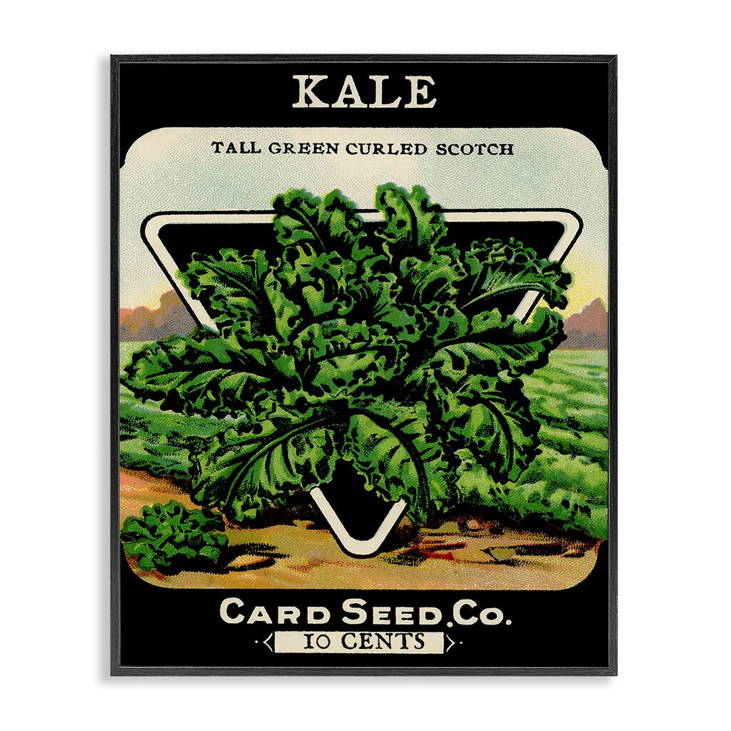 Stupell Vintage Garden Kale Framed Giclee Art Design By Lil' Rue