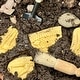 preview thumbnail 3 of 8, Yellow Door Dig and Discover - Pliosaur & Stegosaurus - Assorted