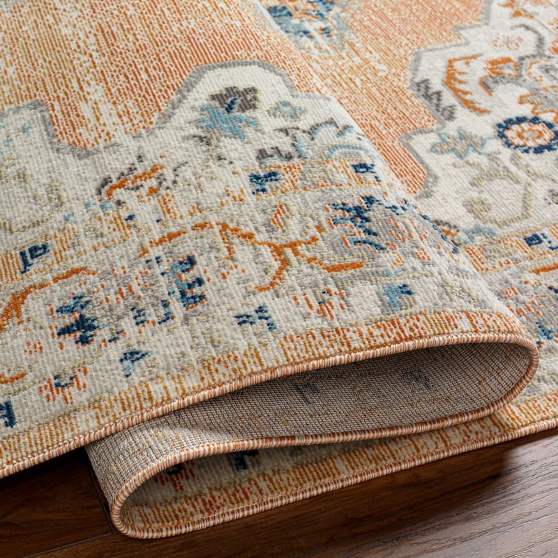 Artistic Weavers Boro Bohemian Medallion Indoor/ Outdoor Area Rug