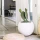 Planters that Match Sagebrook Home 18" Xixa Omix Bowl, 5"H - 18" x 7" x 5"