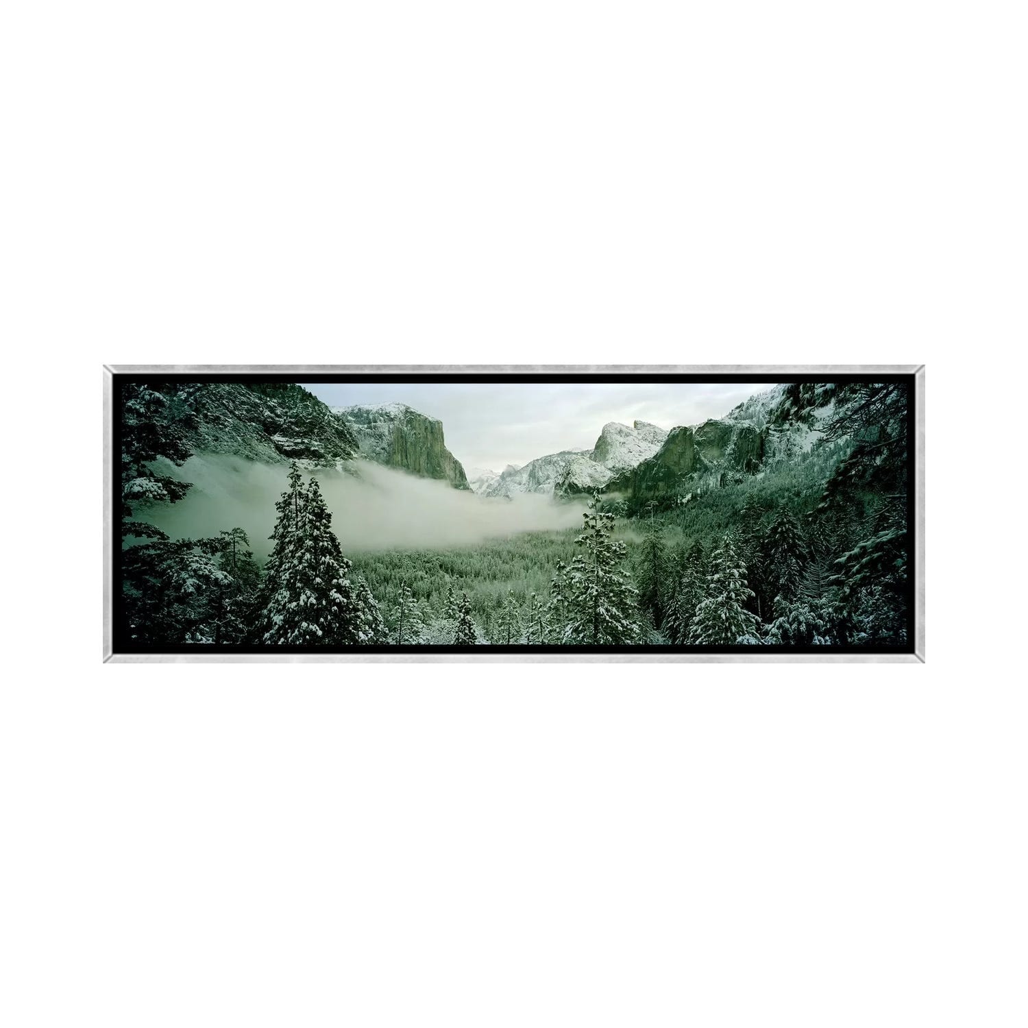 iCanvas "Trees in a forest, Yosemite National Park, Mariposa County, California, USA" by Panoramic Images Framed