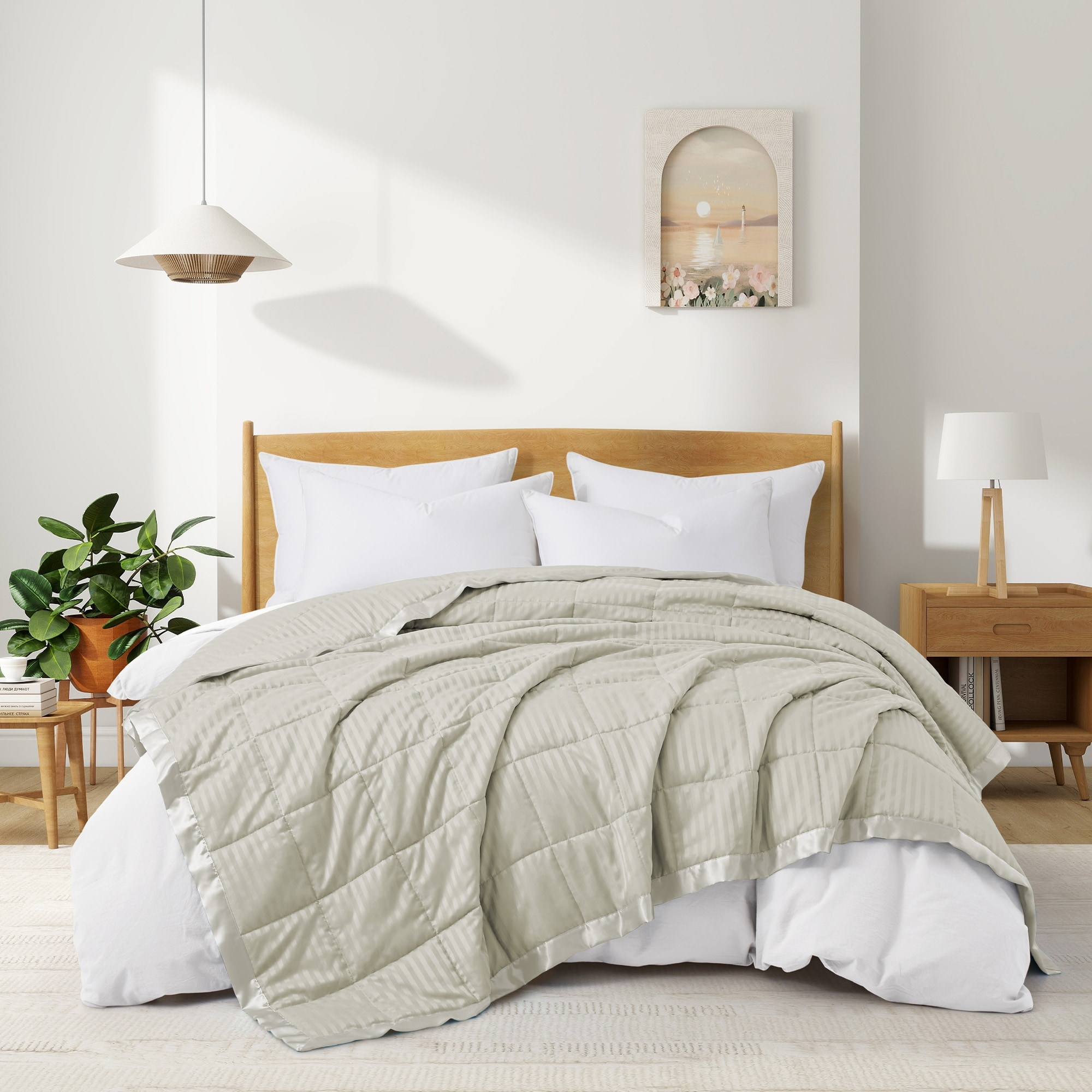All Season Ultra Soft Cozy Warm Bed Blanket with Satin Trim Full Queen Black