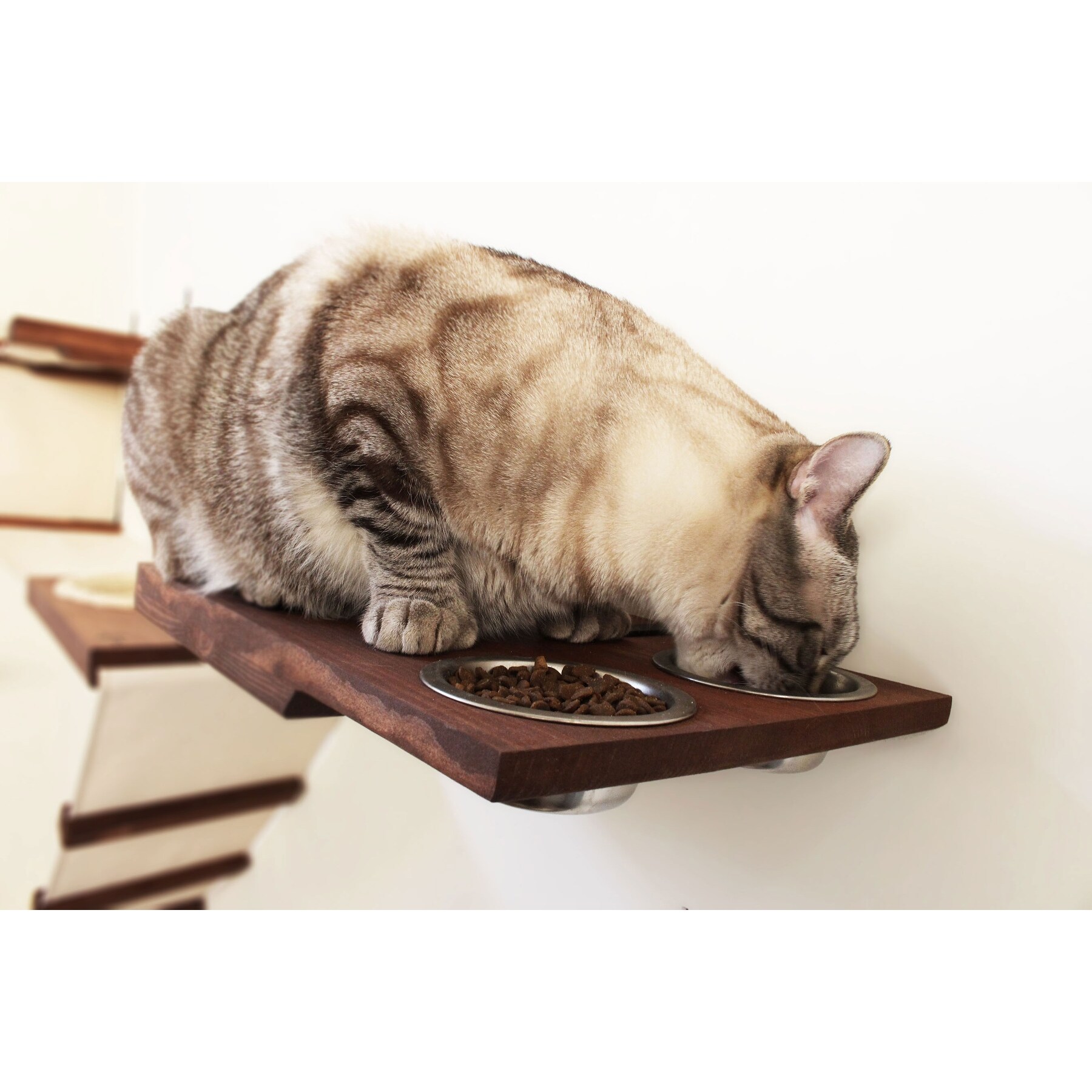 cat dining shelf