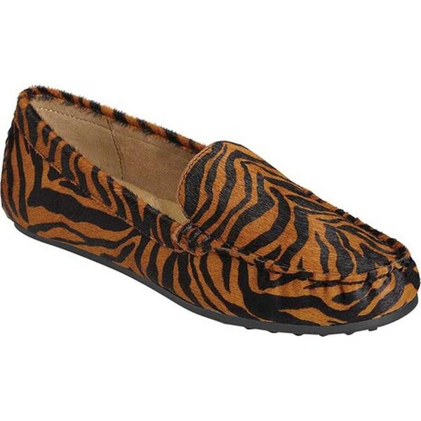 loafer tiger