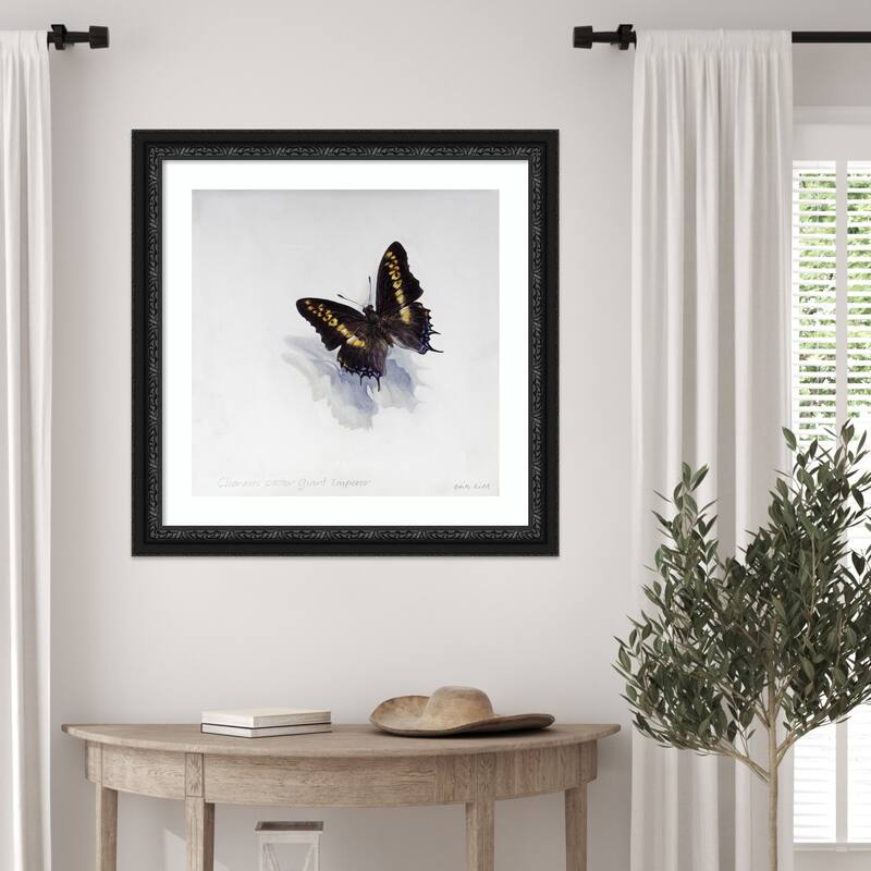 Giant Emperor Butterfly by Odile Kidd Wood Framed Wall Art Print - Downton Black