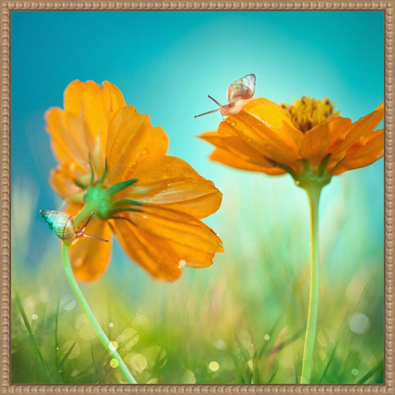 Play Time by Peiling Lee Framed Canvas Wall Art Print