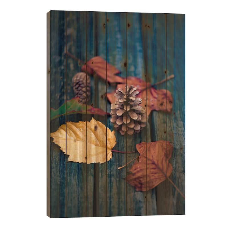 Deposited By The Wind Print On Wood by Philippe Sainte-Laudy - Multi-Color - 40x26x1.5