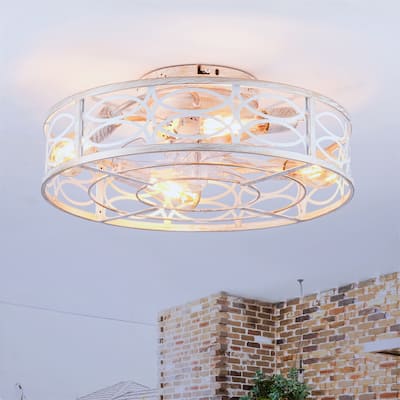 20" Caged Ceiling Fans with Lights and Remote Control, NOT Included Bulbs