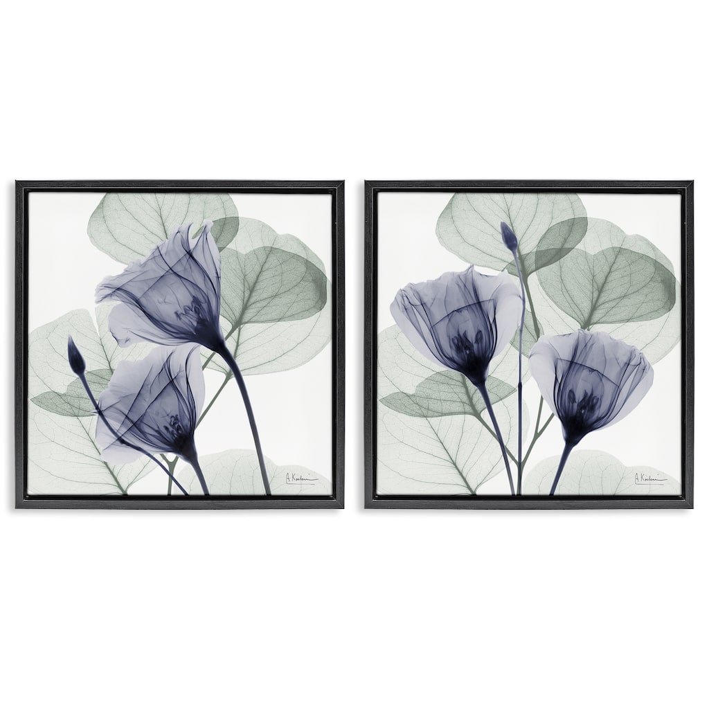 Stupell Fading Florals & Herbs Framed Floater Canvas Wall Art Design By Albert Koetsier (Set of 2)