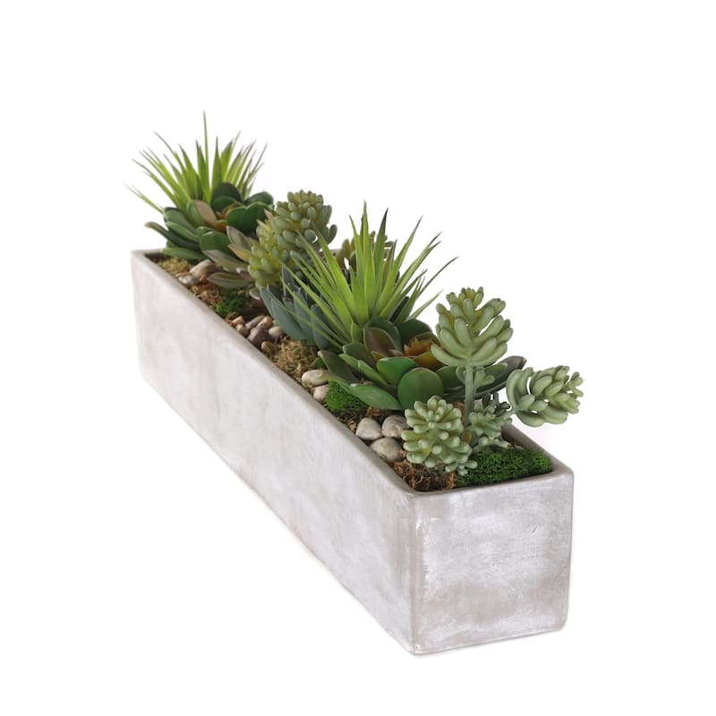 Succulents in rectangular cerement planter - Green