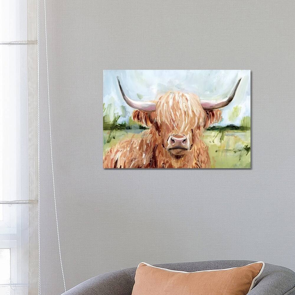 iCanvas "Highland Grazer II" by Victoria Borges Canvas Print