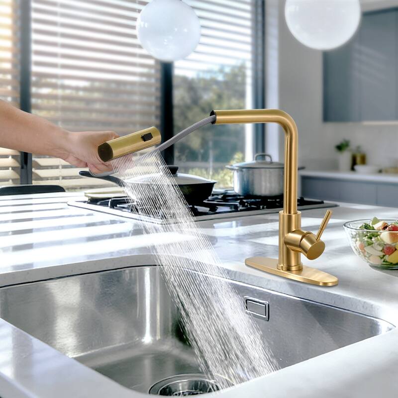 WOWOW Single Handle Waterfall Pull Down Sprayer Kitchen Faucet