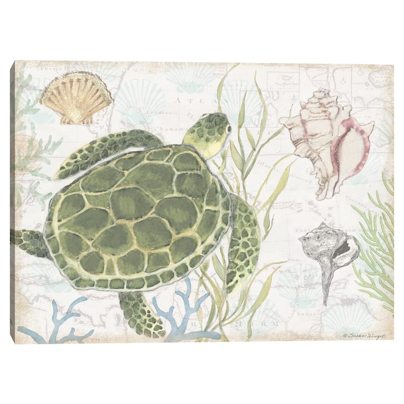 Shoreline Turtle by Susan Winget Canvas Art Print