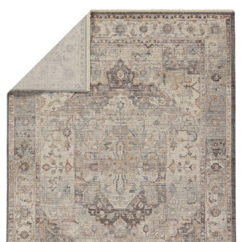 Vibe by Jaipur Living Starling Medallion Rug
